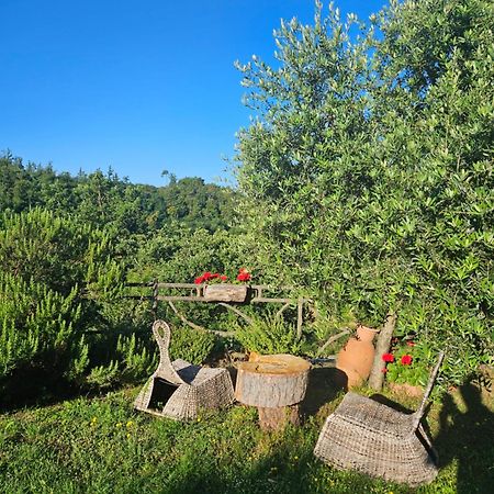 San Martino Country Villa B&B Barberino di Mugello Exterior foto