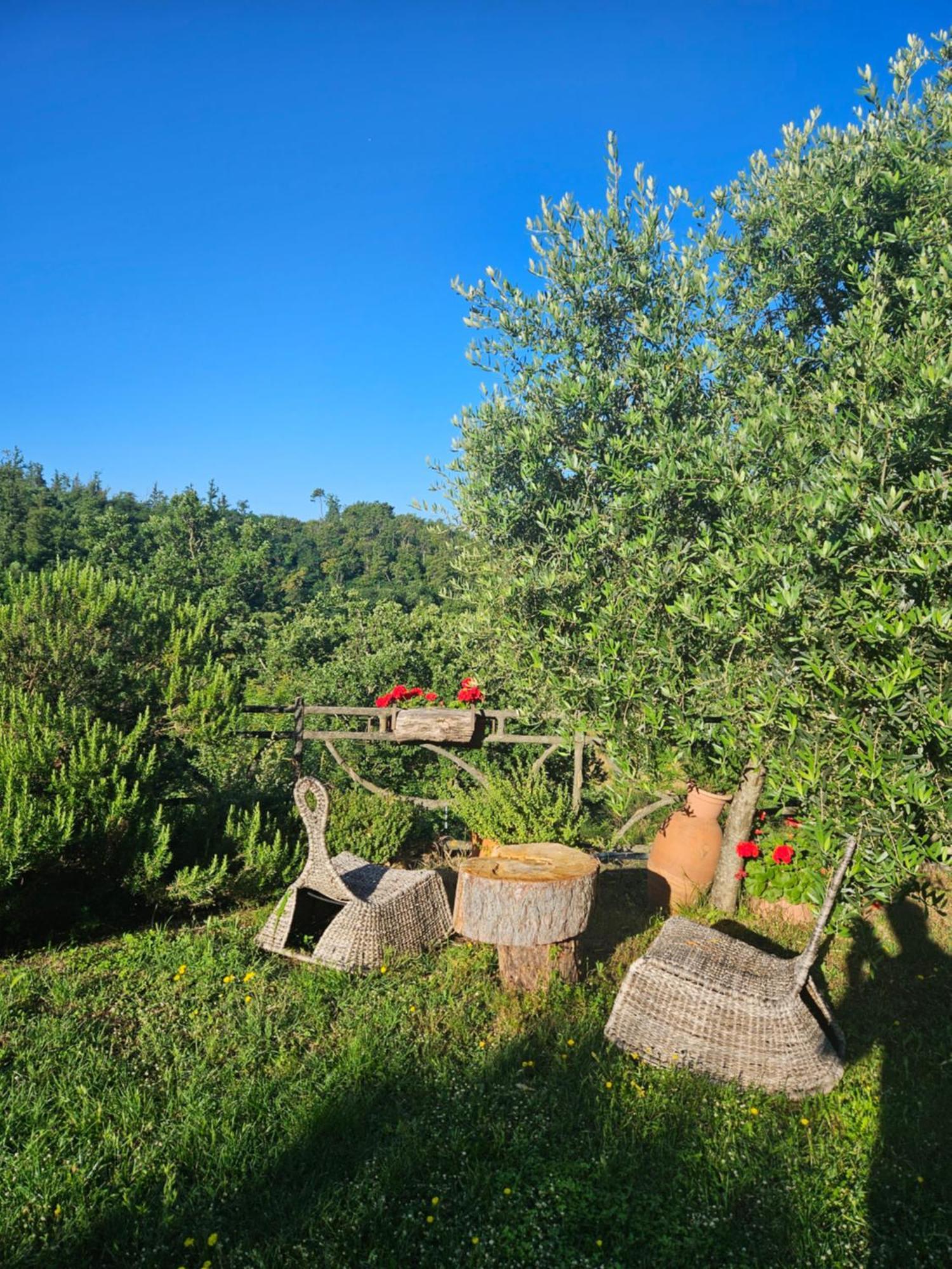 San Martino Country Villa B&B Barberino di Mugello Exterior foto